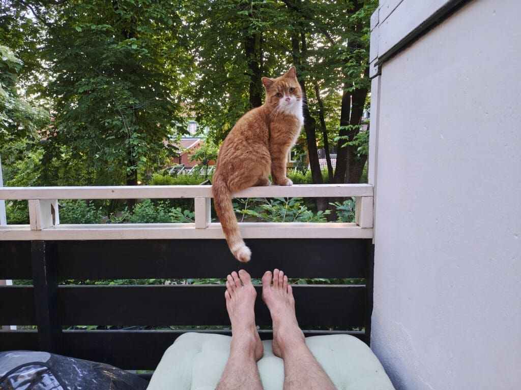 Oransje katt på balkongrekkverk ser inn i kamera, fotografert med Motorola Edge 70